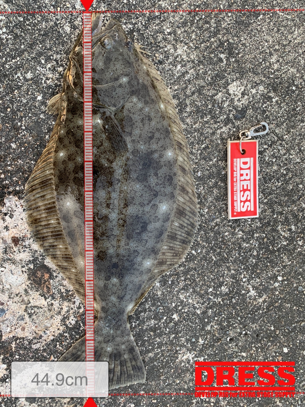 4972_0_6644b909d0b363f1f6c3f12f6998c3c0