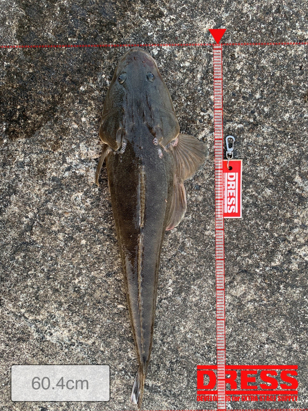 4972_0_884ba41dcaaefbe9c61c9d5b2ff4ade3