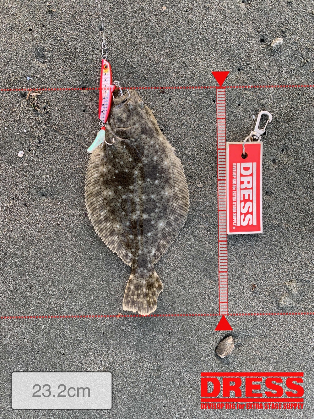 4972_0_bf4657aa0a7a74cdb5aabeae25df54f4