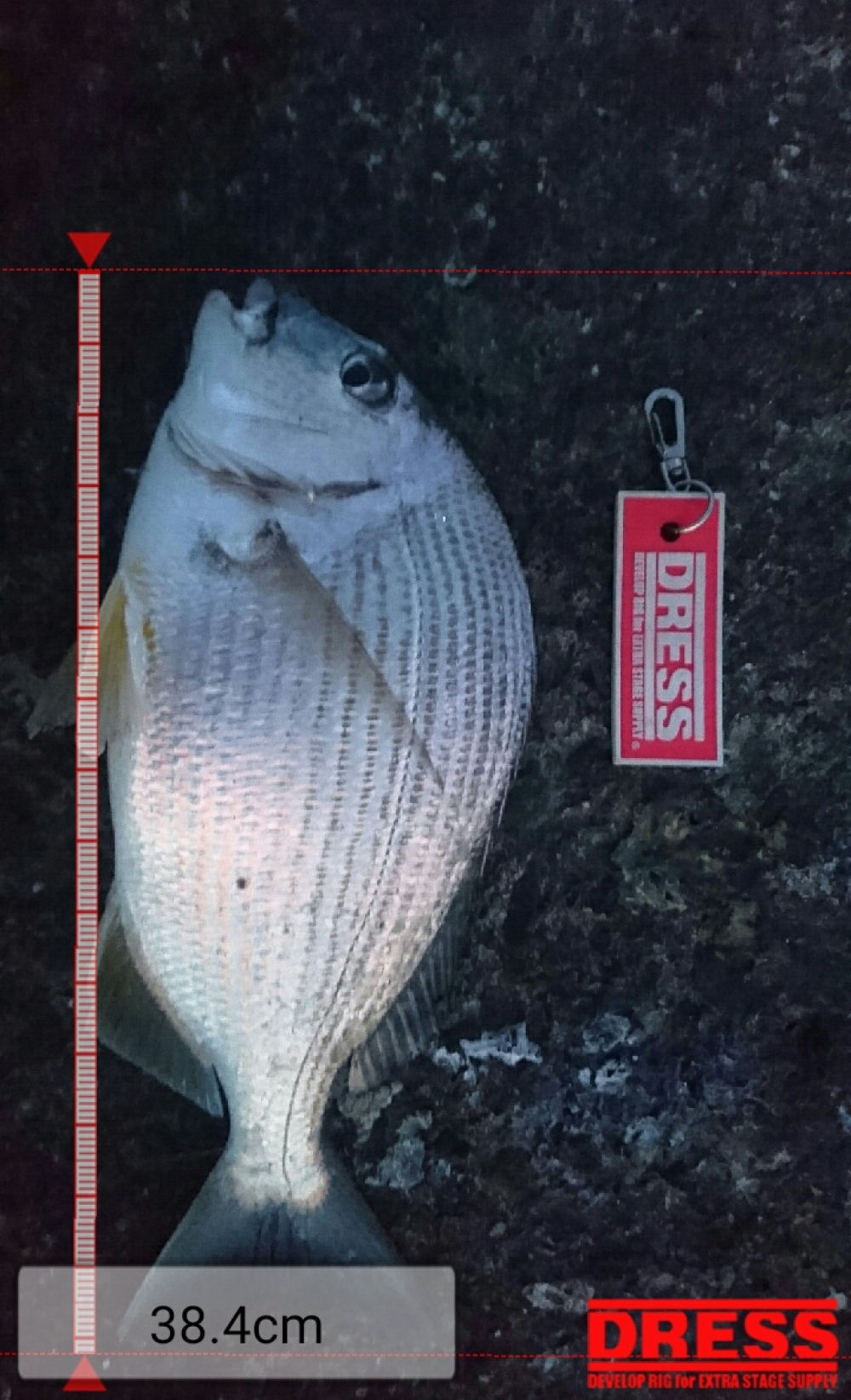 4972_0_cb51a317a41346a6169db4b0d766fa6a