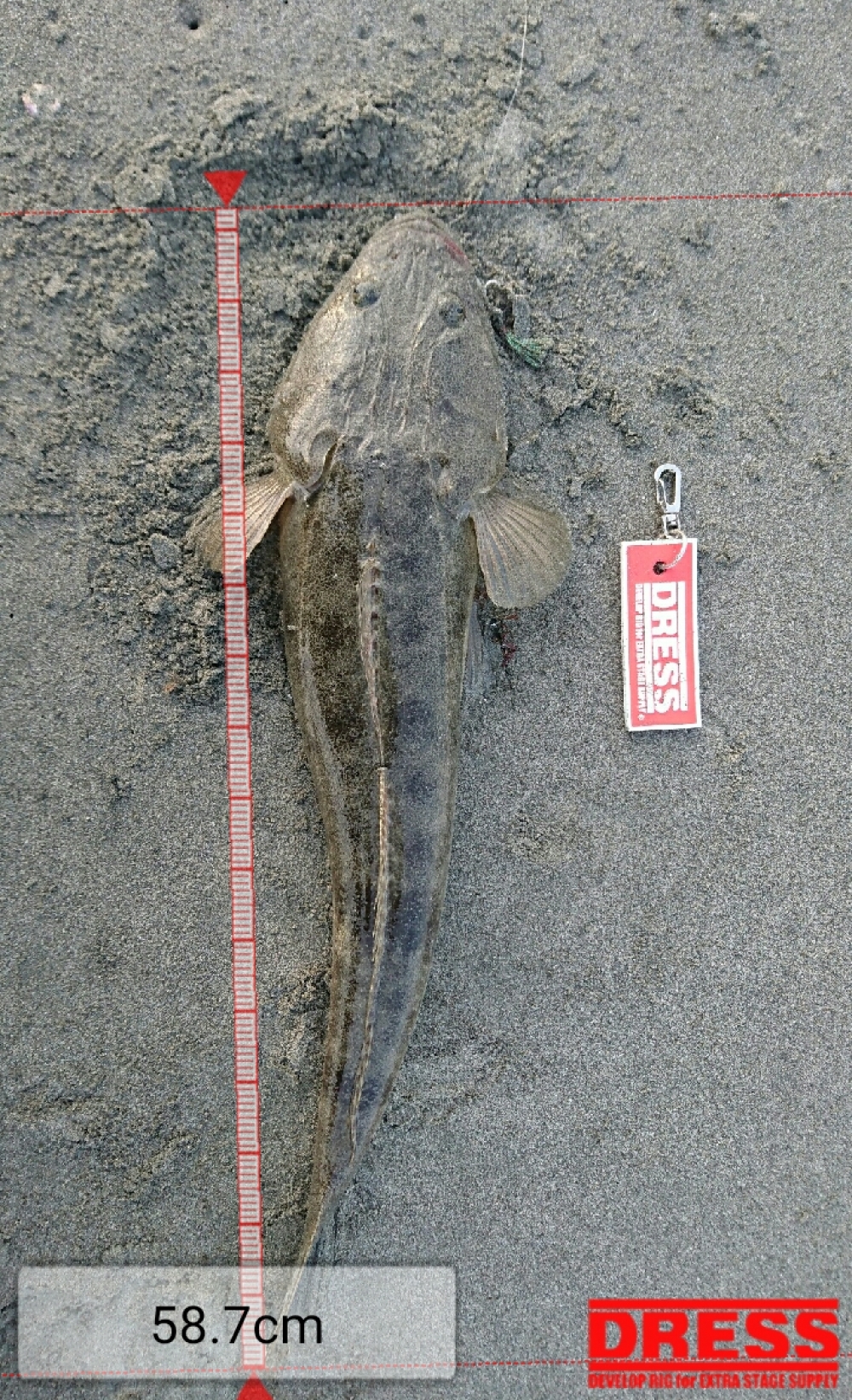 4972_0_d1b62954ff446d11e839d1f140f18801