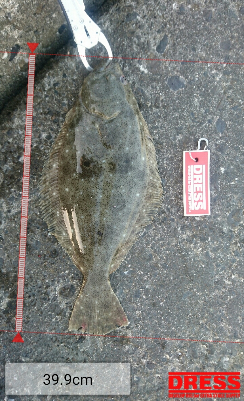 4972_0_d68cdbb3f7dd435eee4899911c4fd71c