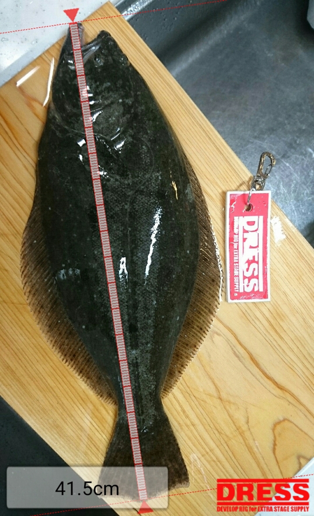 4972_0_e7e9ce3ad37d32f1f5e434a8d564d1ad