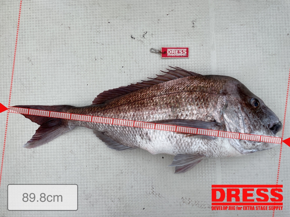 5233_0_44ac24d9a12b1ad86ecc567451c4b12f