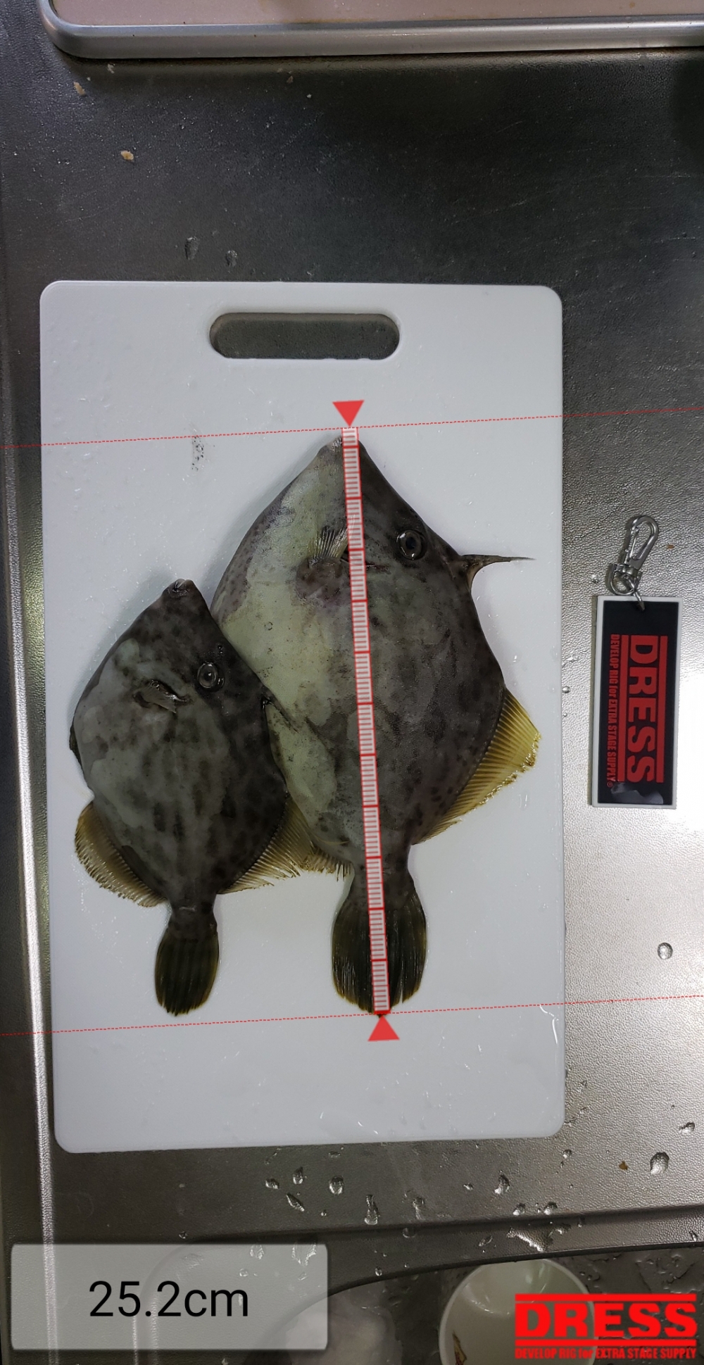 5303_0_266266f3c2e6588344d4c0d846452384