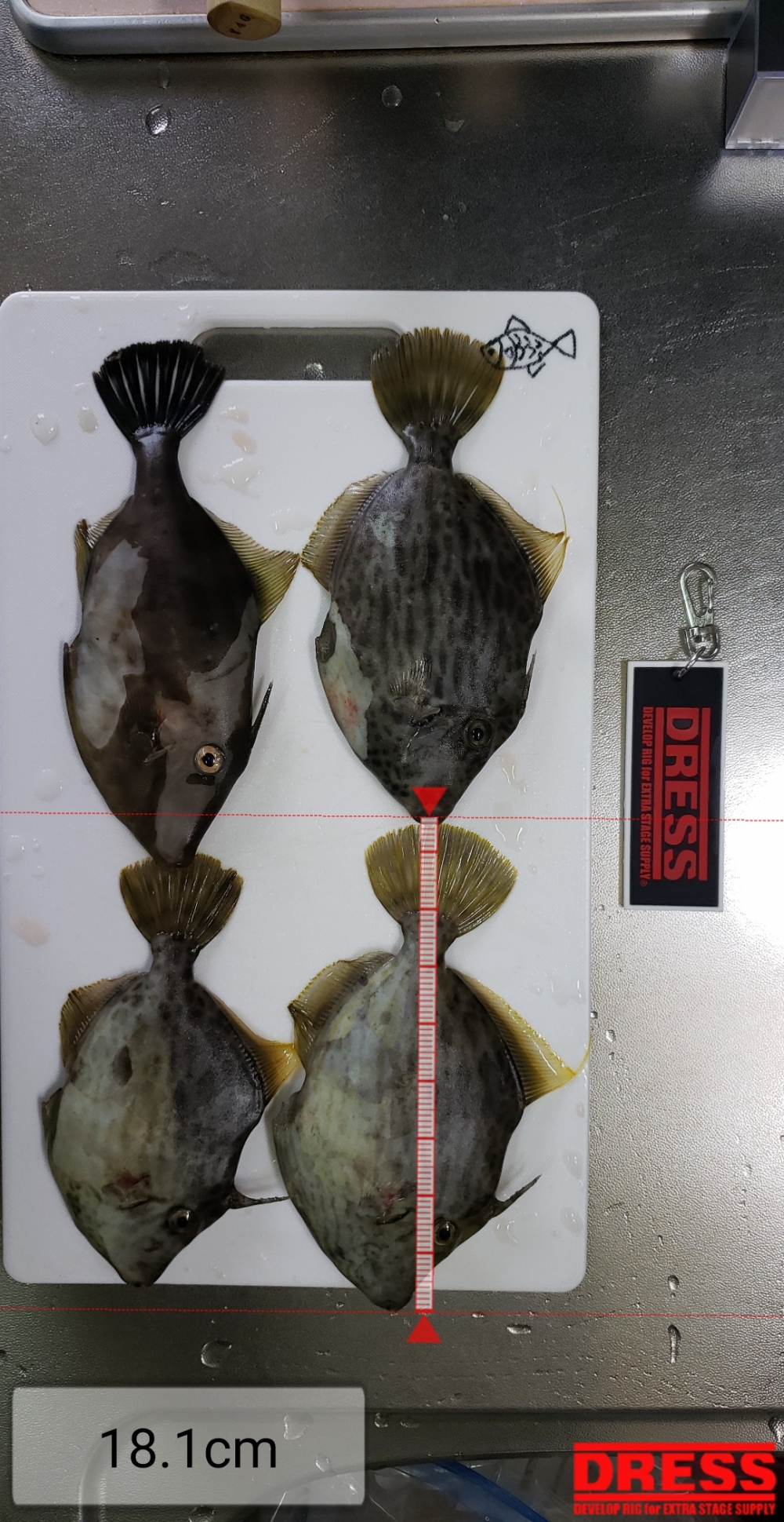 5303_0_b68a7a31422dc189ccde0da6689f8e1d