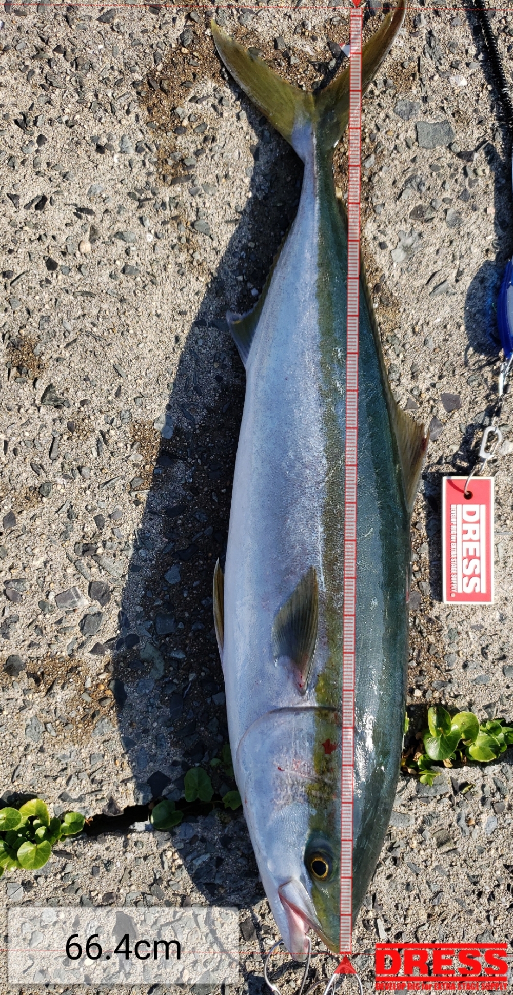 5303_0_d82eb55b435ed7678483b03438080dc0