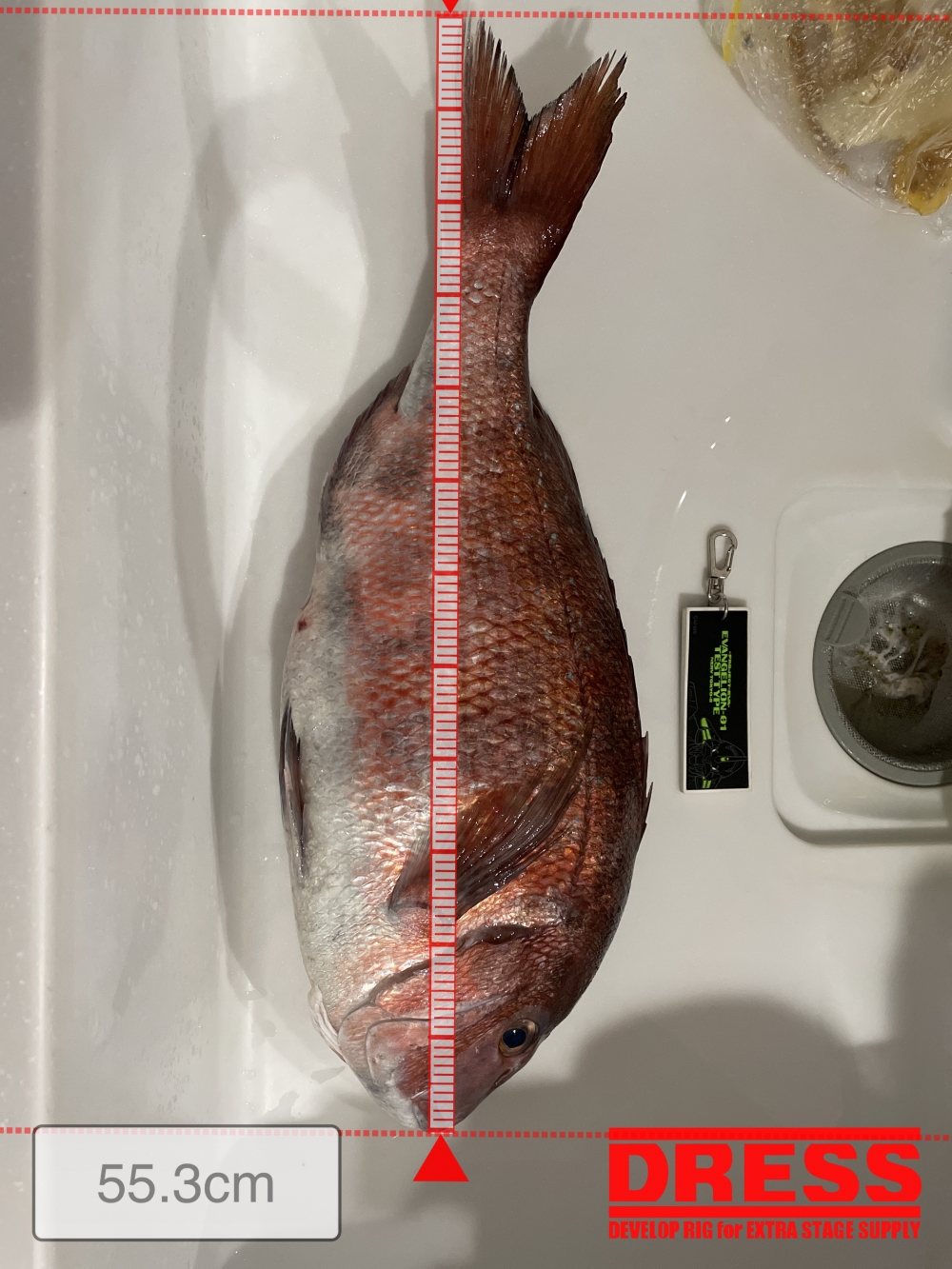 5628_0_0da41b76d7a8198a99037ca82a196793