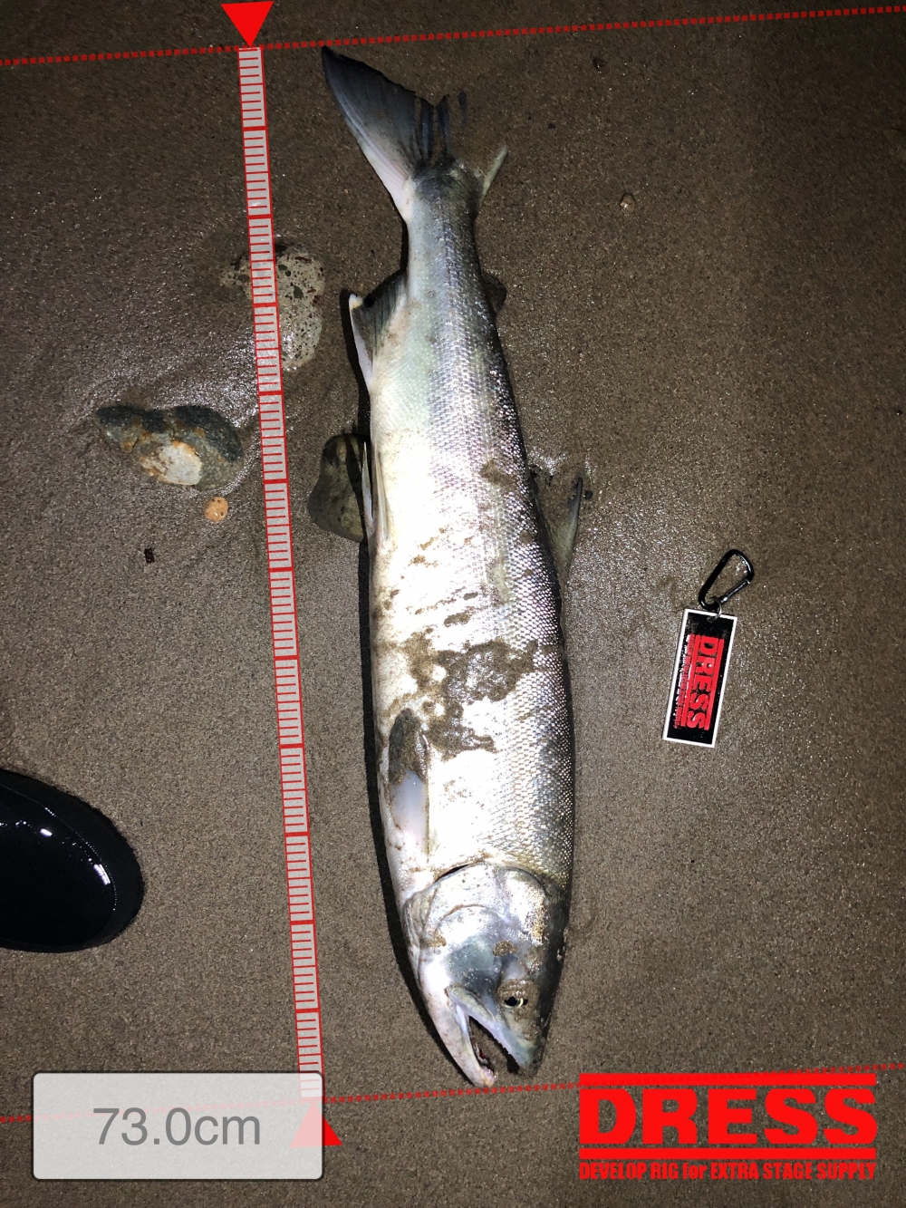 5698_0_2d99197ccbeea3fa1c00046576e5784a