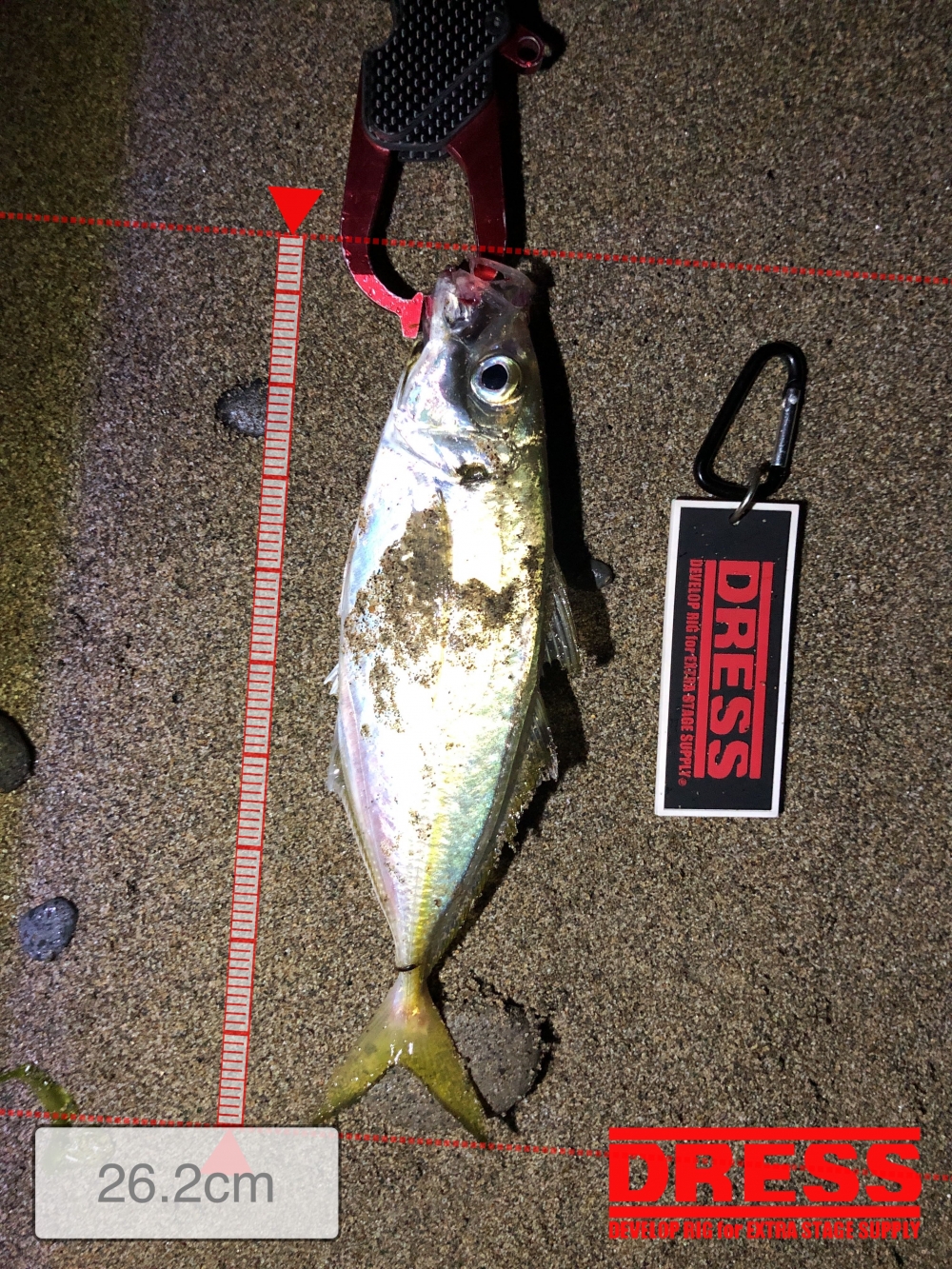 5698_0_779aa4c66053e324f39909222345ffe7