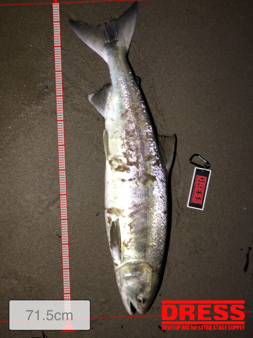 5698_0_8b49597b5dc033cd4c7d26e313b46b99