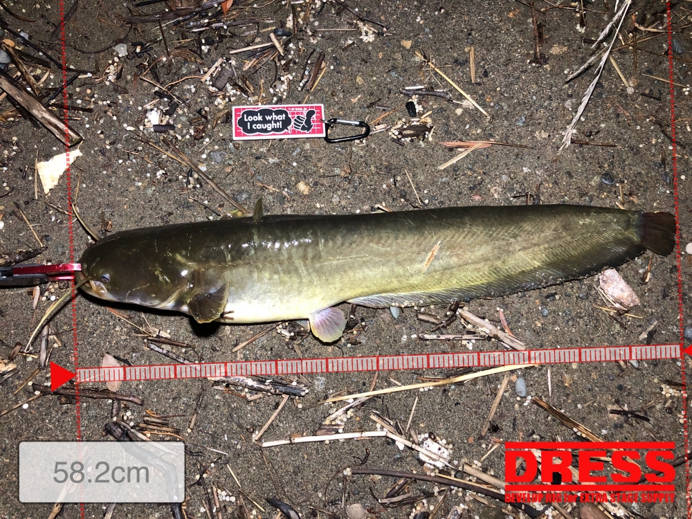 5698_0_a2b58613adbb016640e646a19fb0f4f3