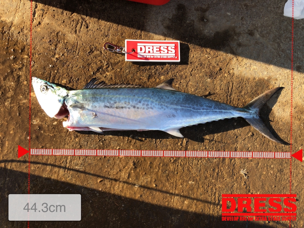 5740_0_a41698dcd2ce597471229026e45be013