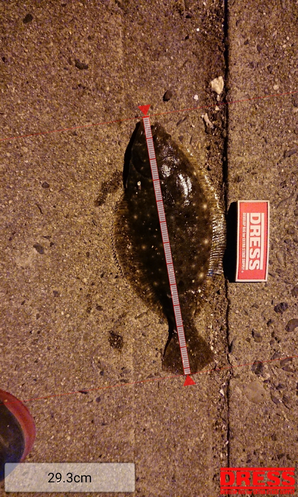 5756_0_02fbf54802279e3b9bc0929e9fd7f1e0