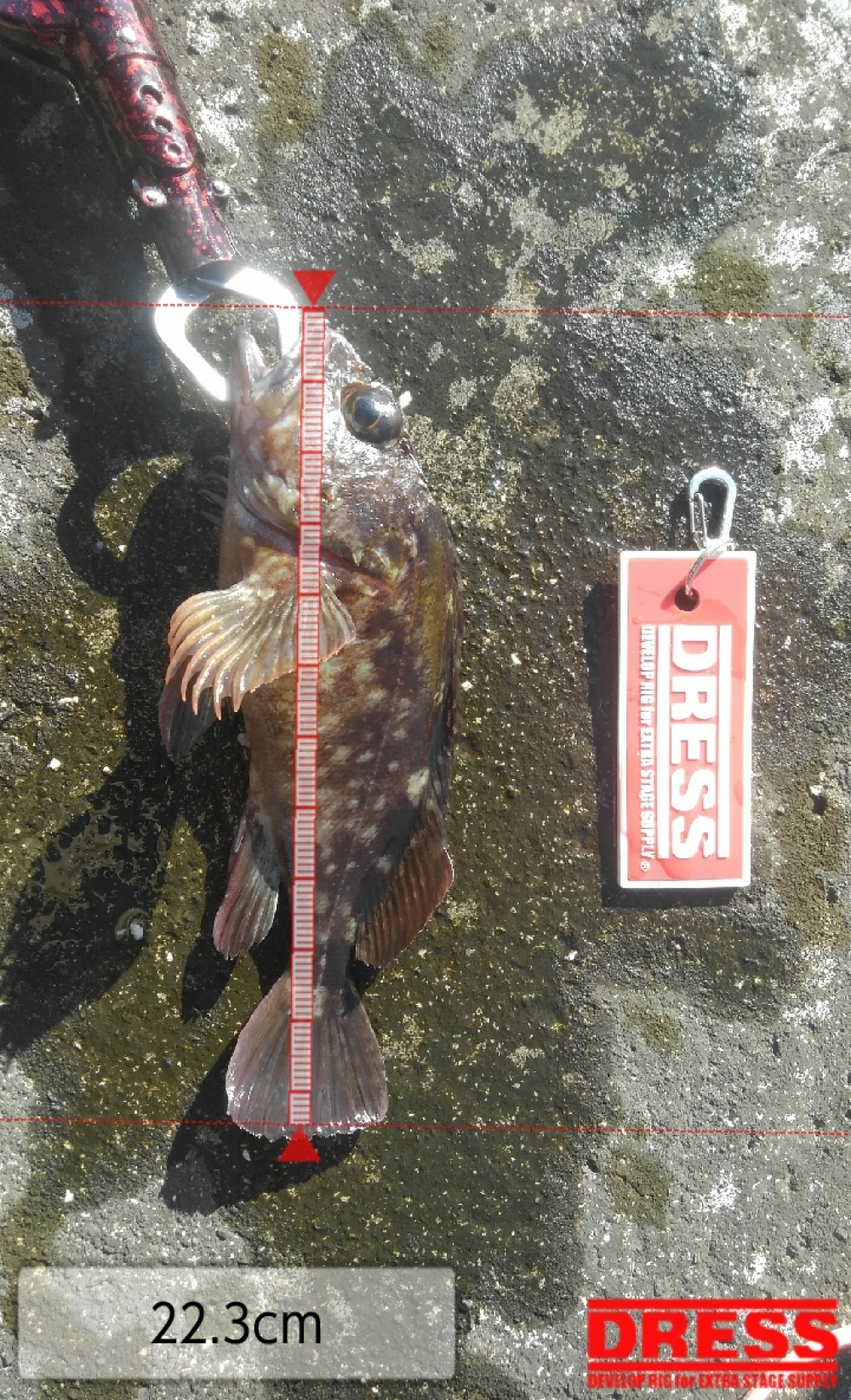 5914_0_3d05a2cc70ea03703c38dd37f6479f41