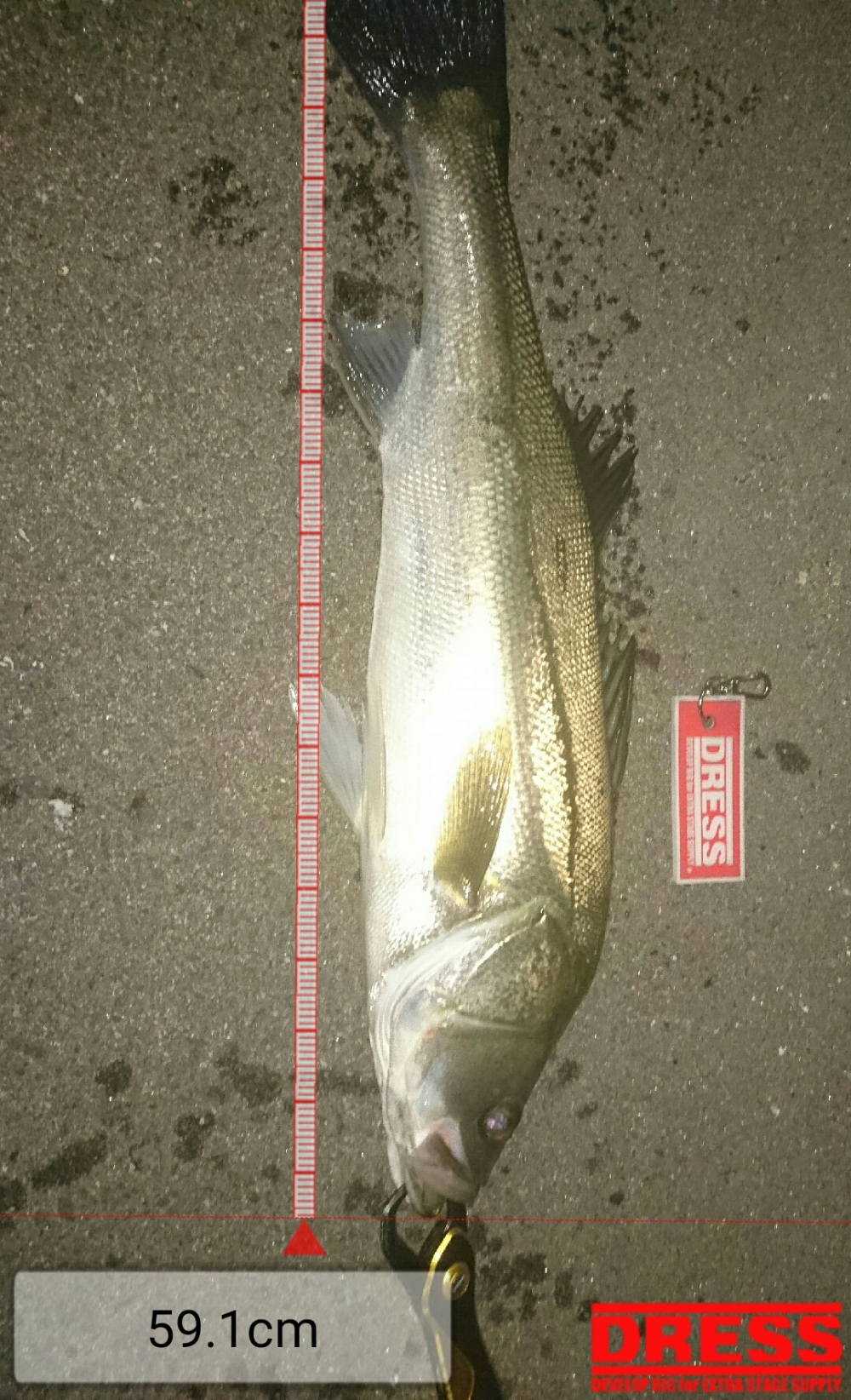 6140_0_d0bbdad187c0b8d6b056b3f3429b43e6