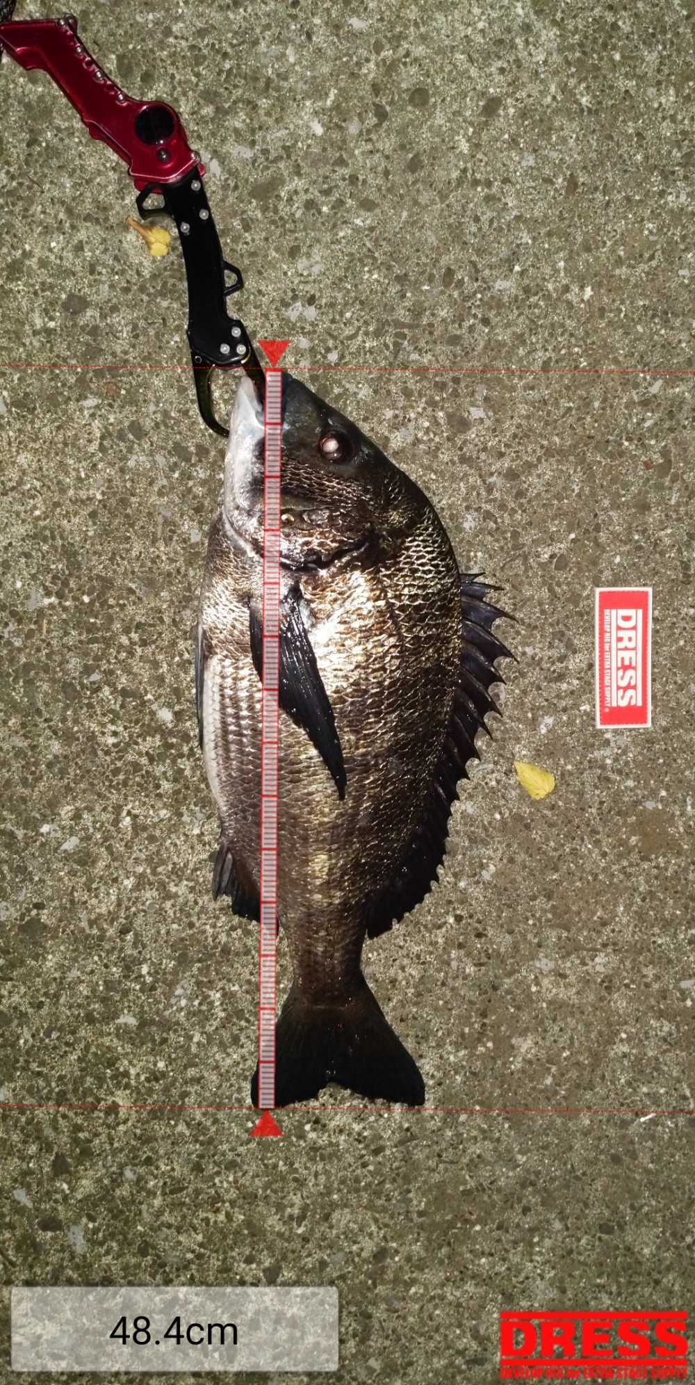 6165_0_0ba2be37a5f31e5b6134bfbf7ab84739