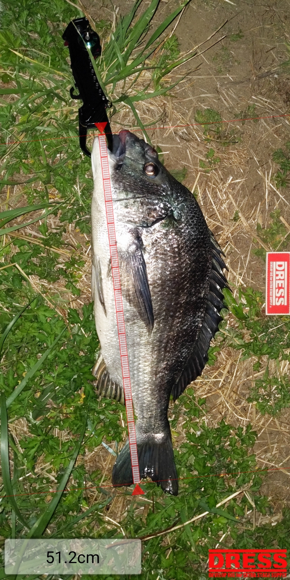 6165_0_54e7383c6e9eaa141e06b0150ff820df