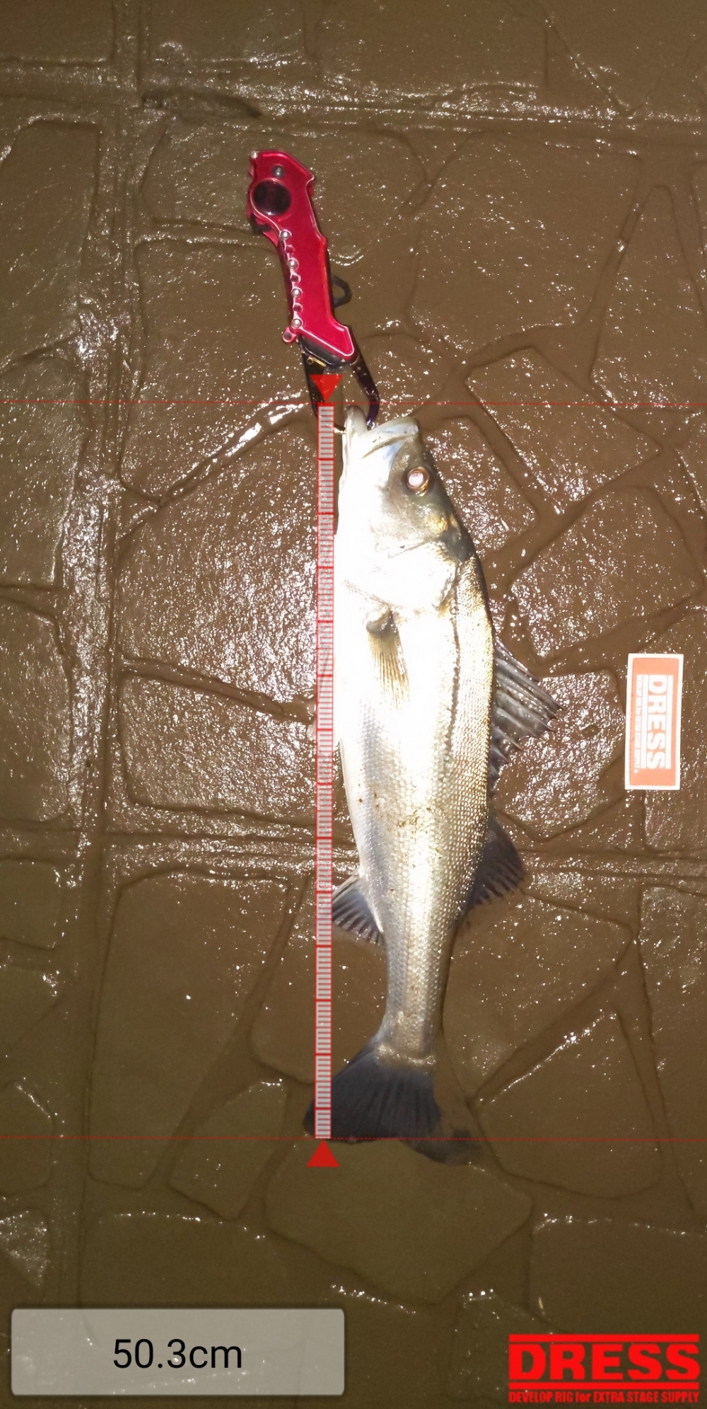 6165_0_ea0a6ed60d55b39f5ca4f562690c97f6