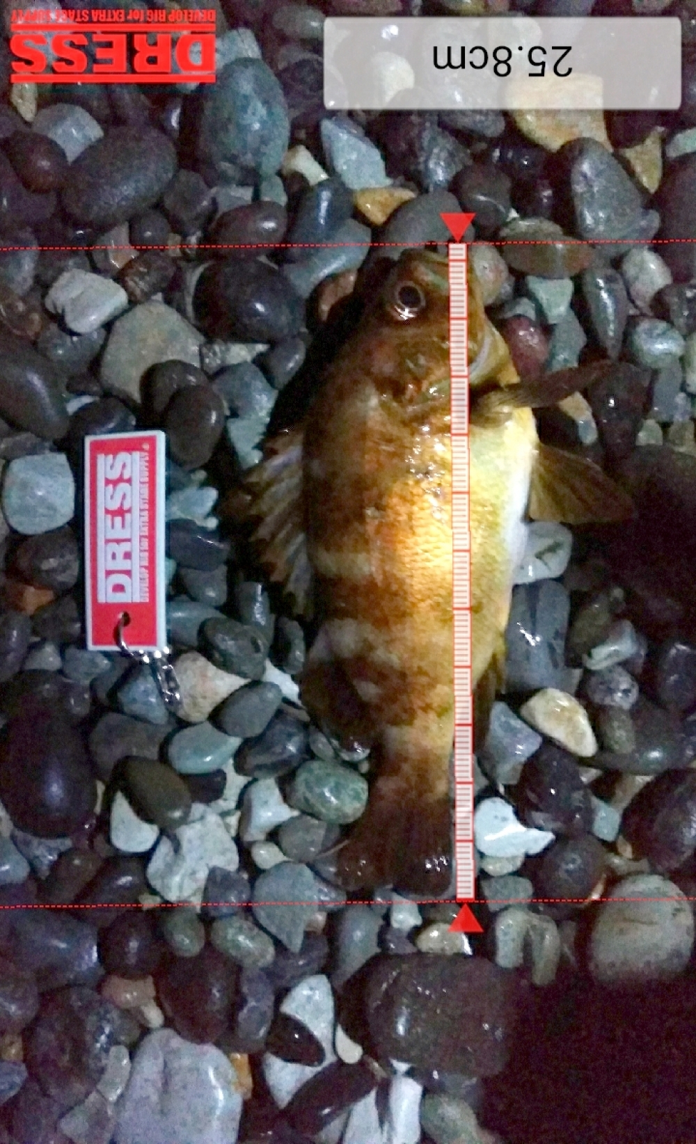 6581_0_d9fd4e3f3ef0fb02167ff2c65d15a59b