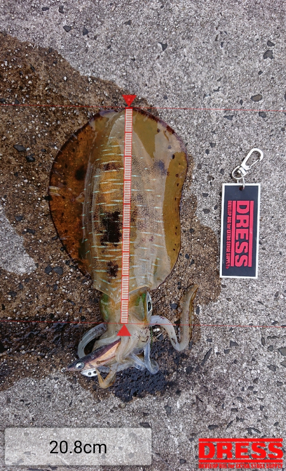 6662_0_14568df51bd1f205f865a9977af1c8fd