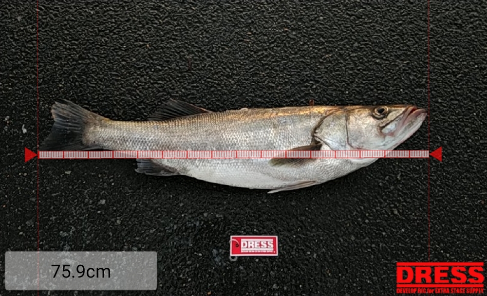 6761_0_4d9cc6d1c440473348d1b285007b4cc9