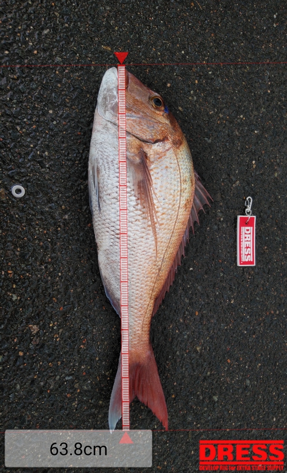 6761_0_f2f1142c06b7b2f86a358b7ee000454d