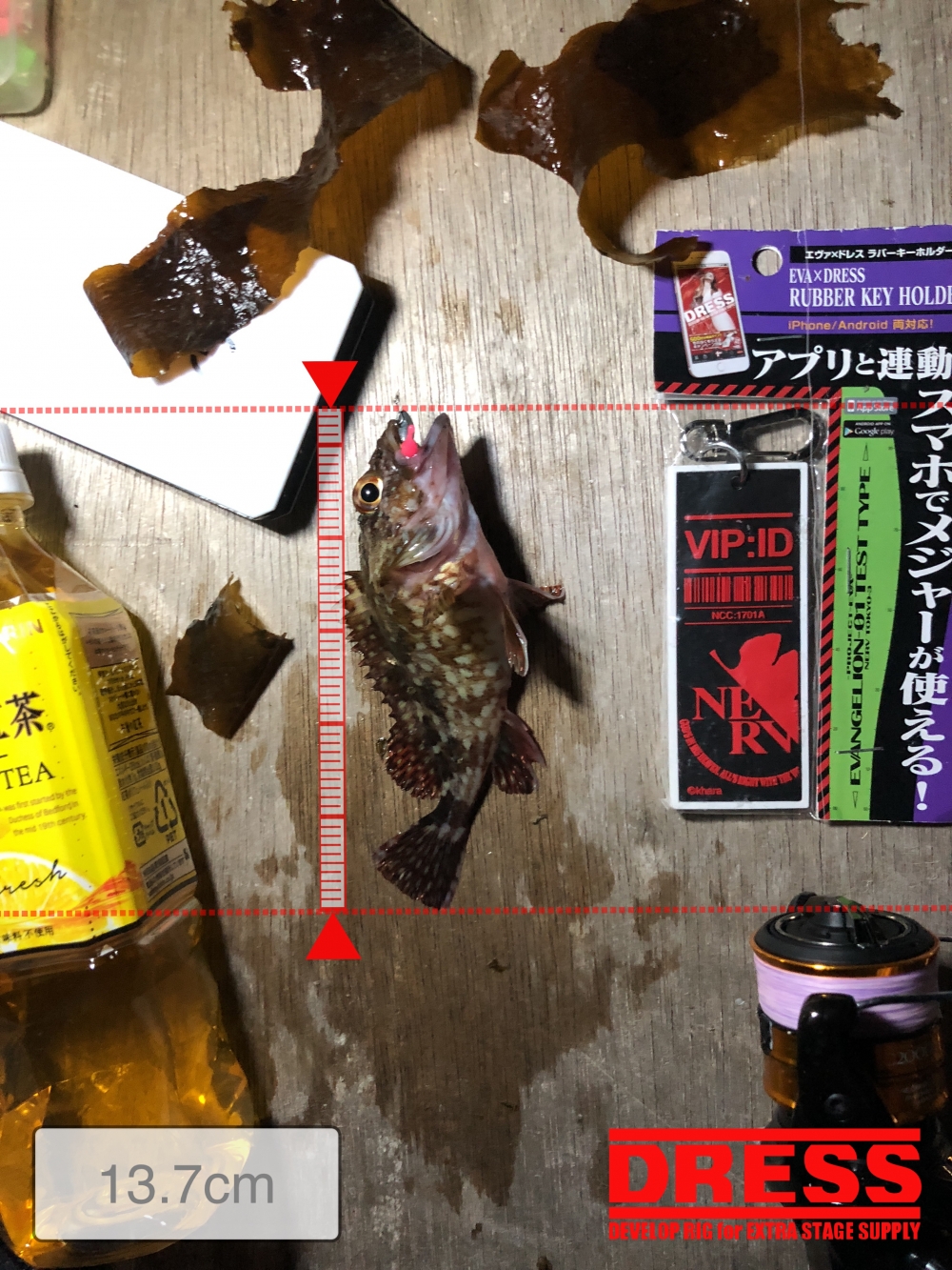 6767_0_4ed3fcef36c8b797304c1275a49352f1
