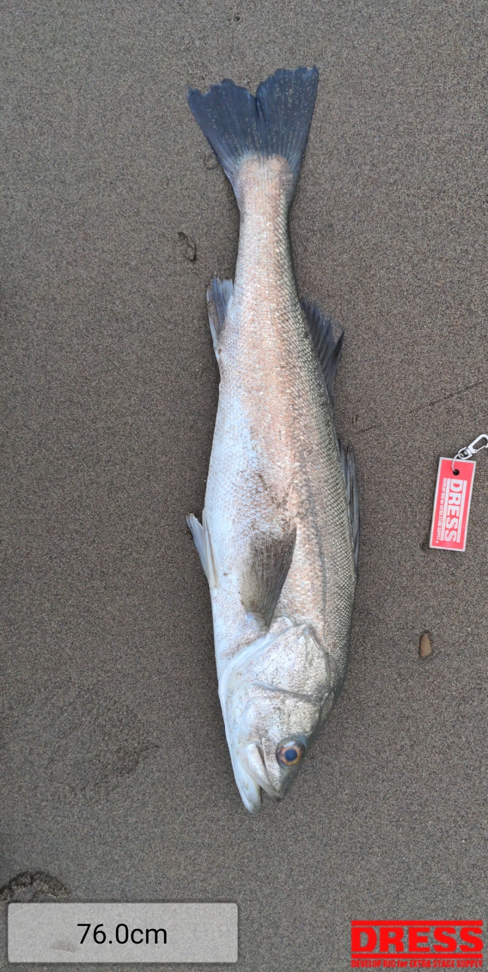 680_0_ef708ef10b74c80d5874be2bab1c5988