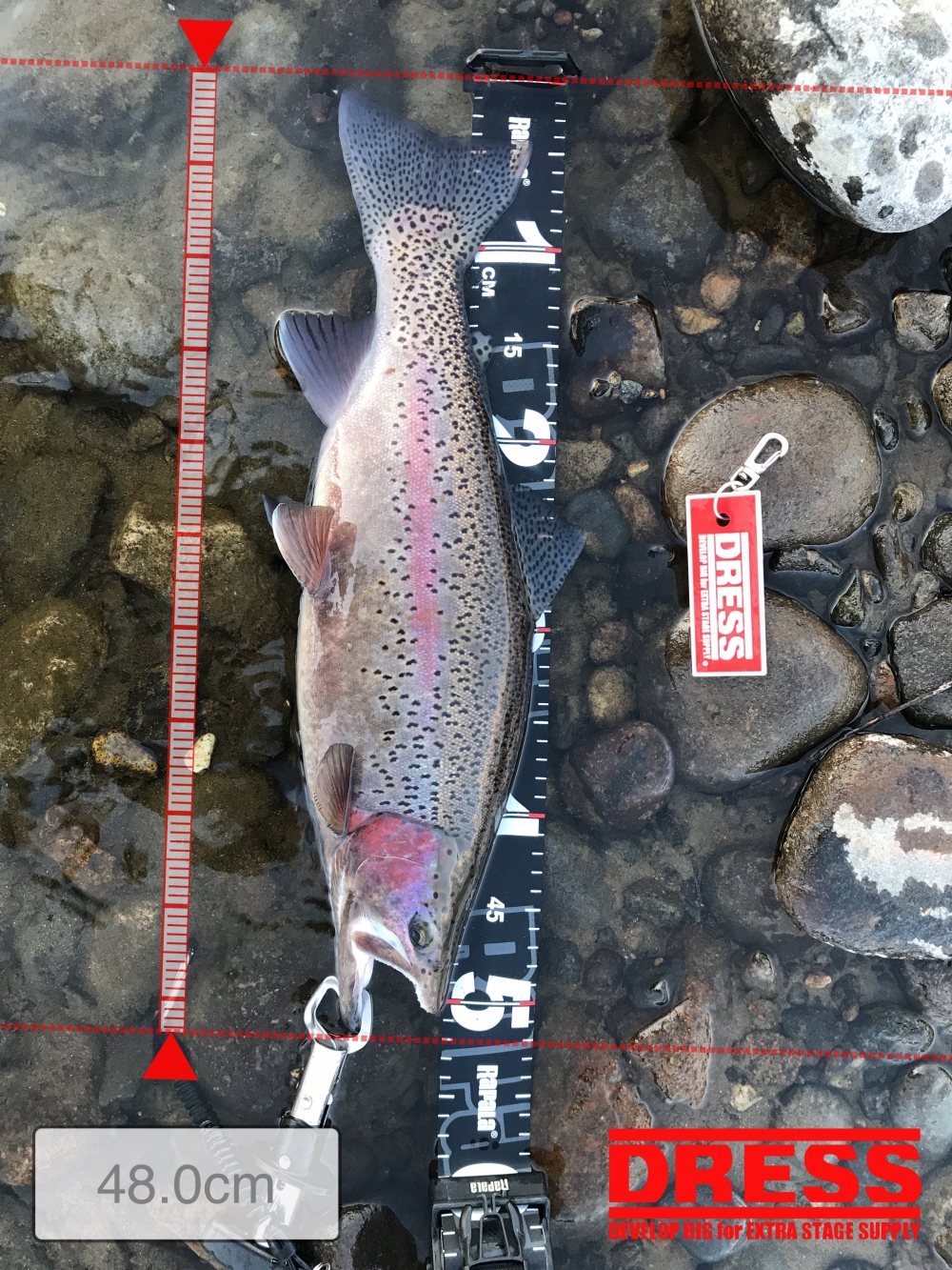 6849_0_562fdcbde2a6ffa768751c9c6b8f2066