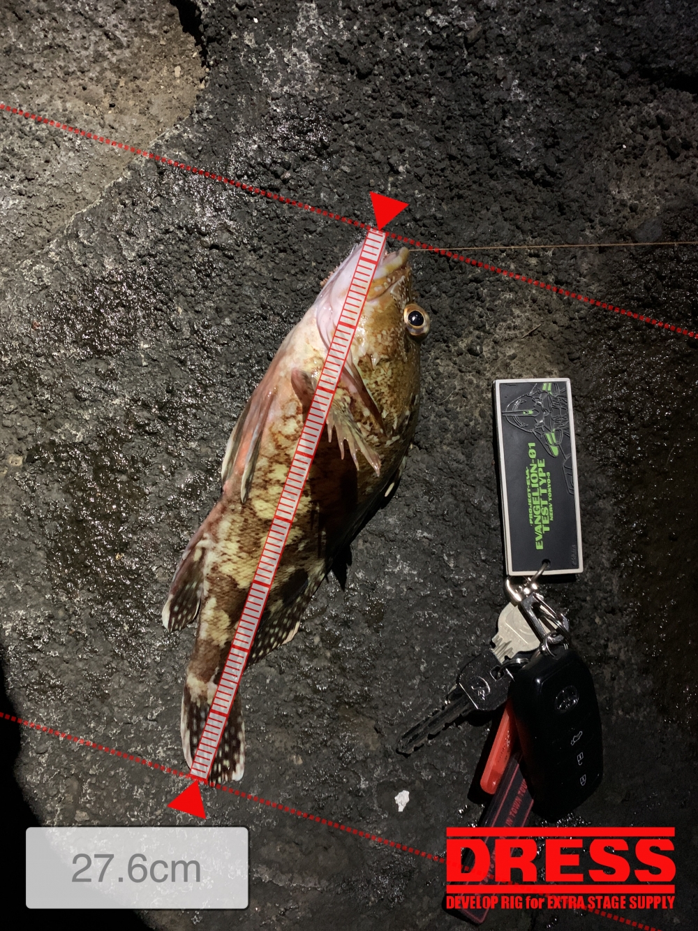 6868_0_22beec38a536309bbd76d0c39329d37e