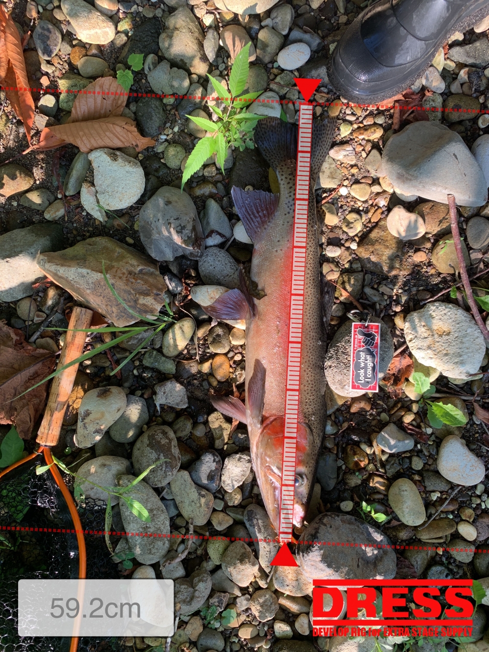 7004_0_0ed1eda23699ea3ee49852054b22f56b