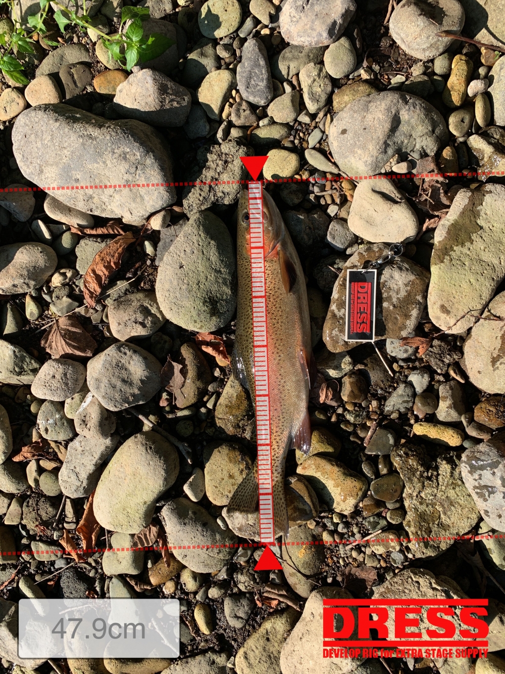 7004_0_34dd34143461eaa44b0a84c8eba5abaf