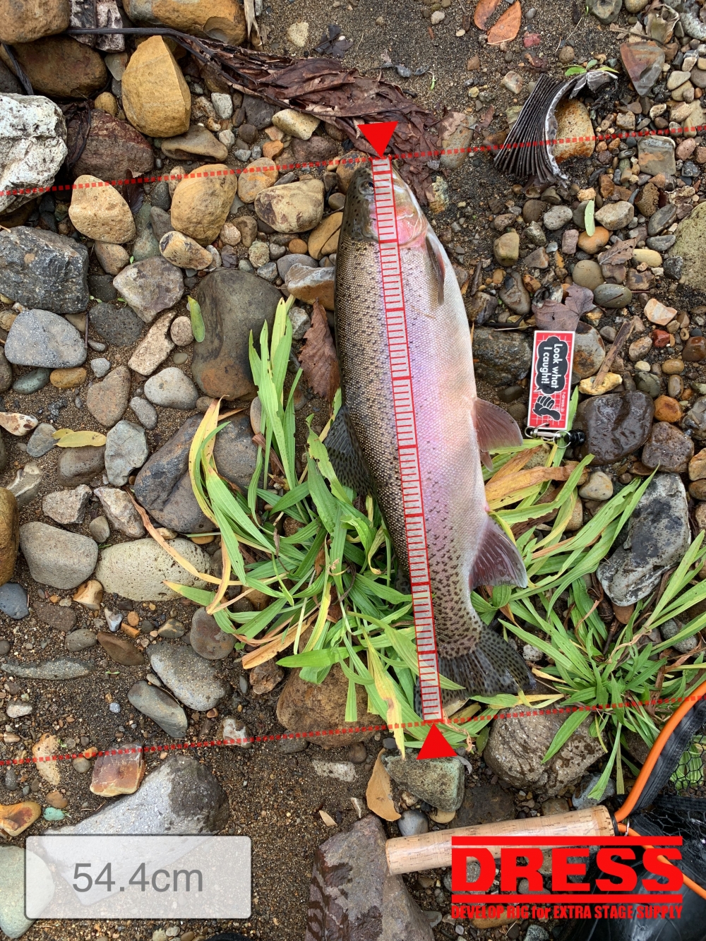 7004_0_39d4930fed2e91705fffdb5df61fc320