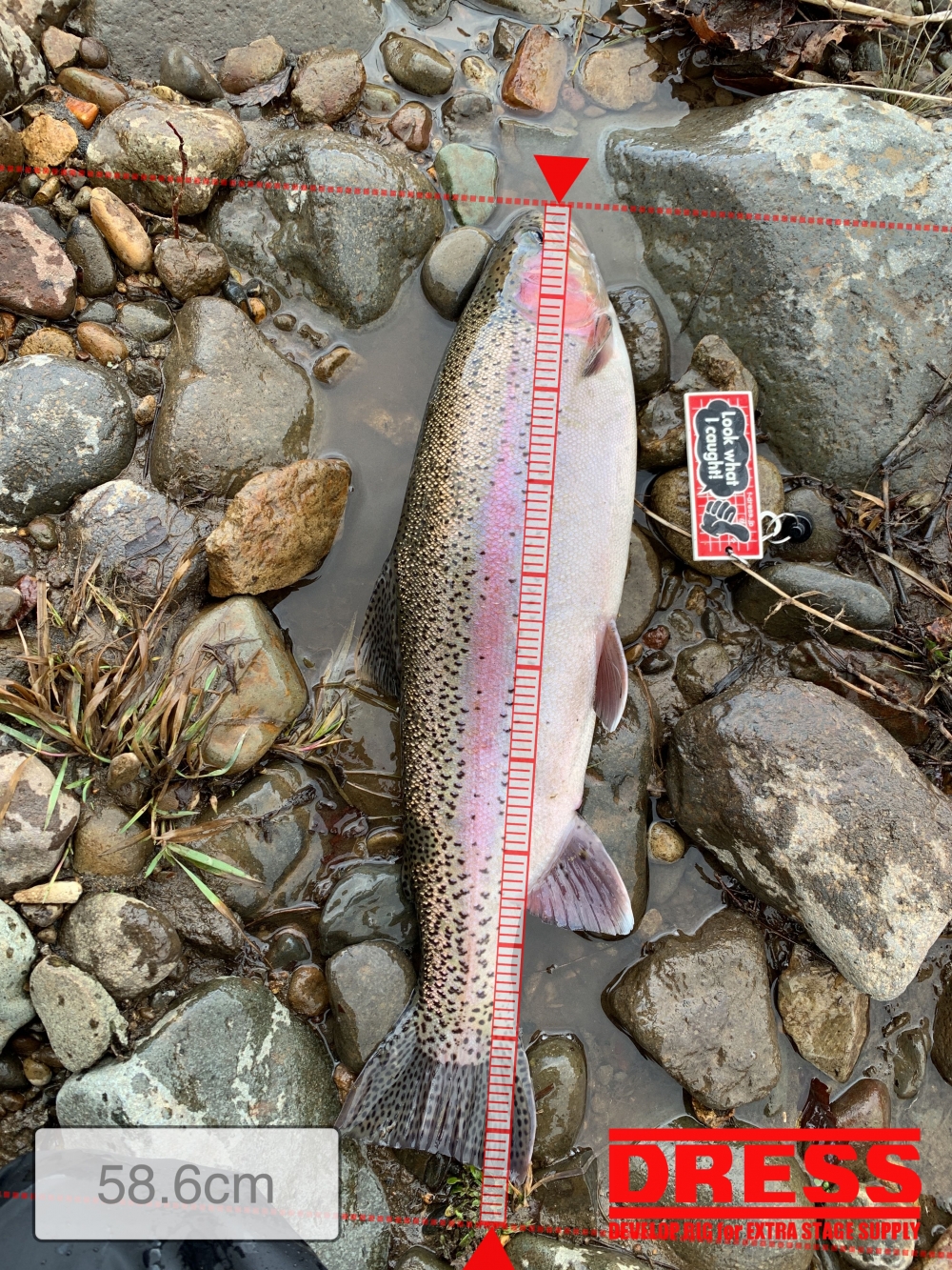 7004_0_4b9273a493a5cc55c0bdfd5a83022235