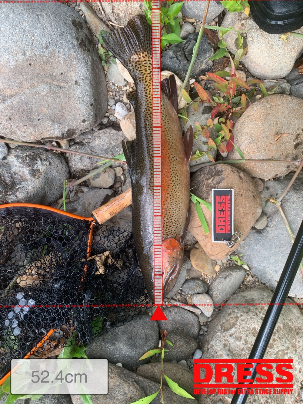 7004_0_b7734d0743cfcf322345159ca28e1e34