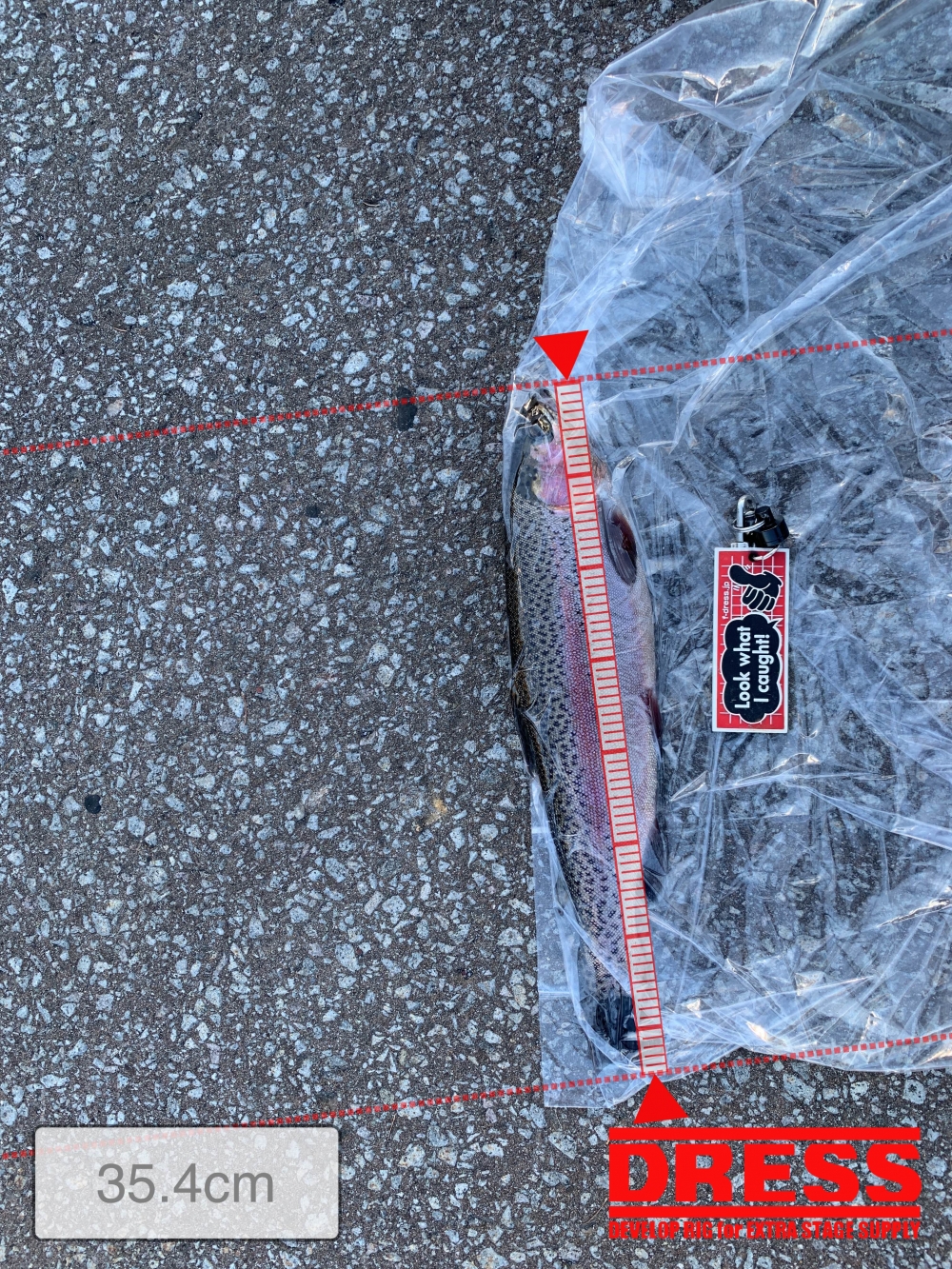 7004_0_d463c4a511788bfbe24b780248ada32f