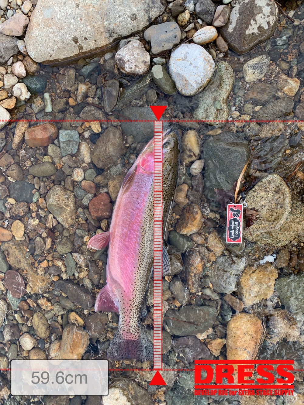 7004_0_dd3acefb185d089425b736406b161f35