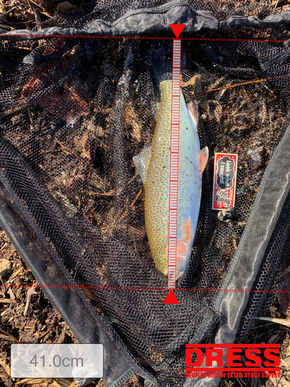 7004_0_ed520d8e225d809cb1df9df48a48bf8a