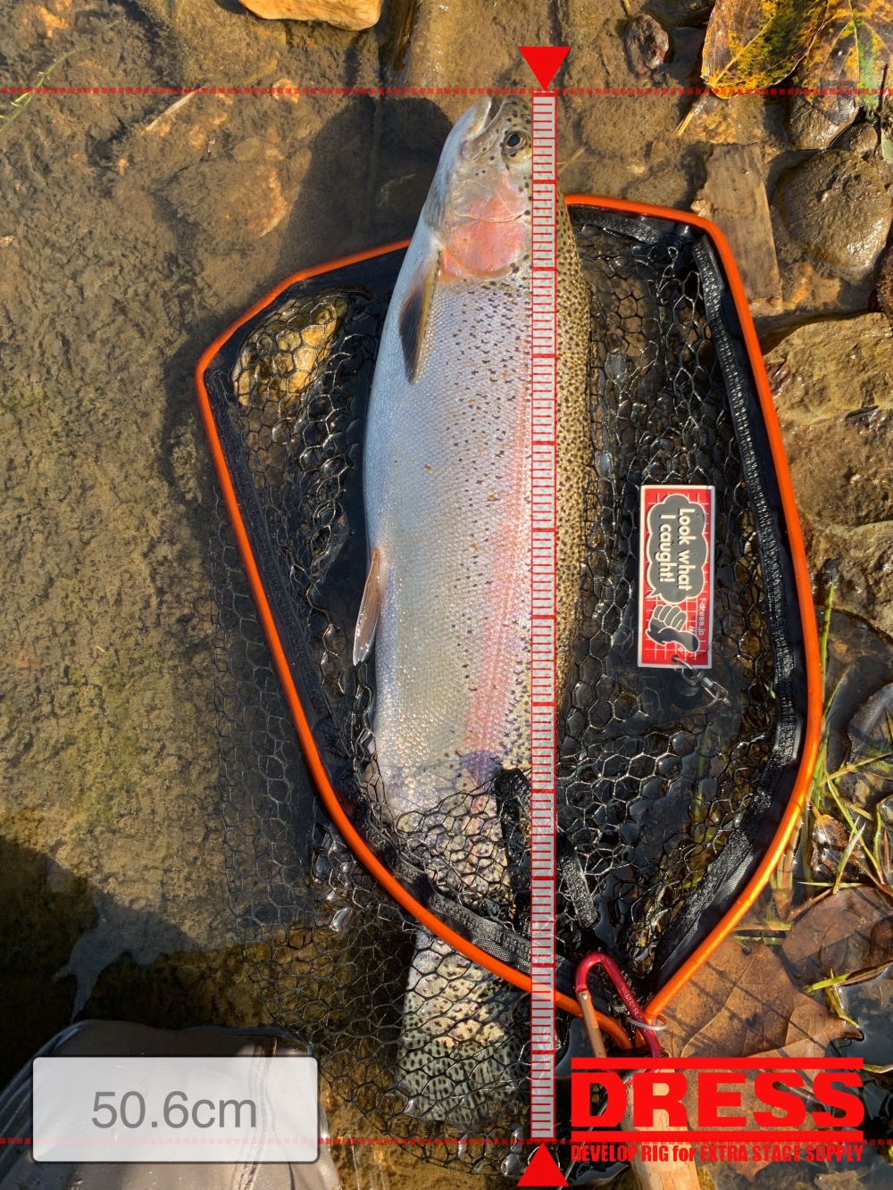 7004_0_f9341286bb8e6f4bcd6a60a0476d8437