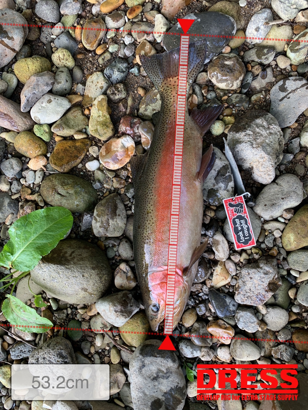 7004_0_fcb4c16322269bc94fea9df9528b6420