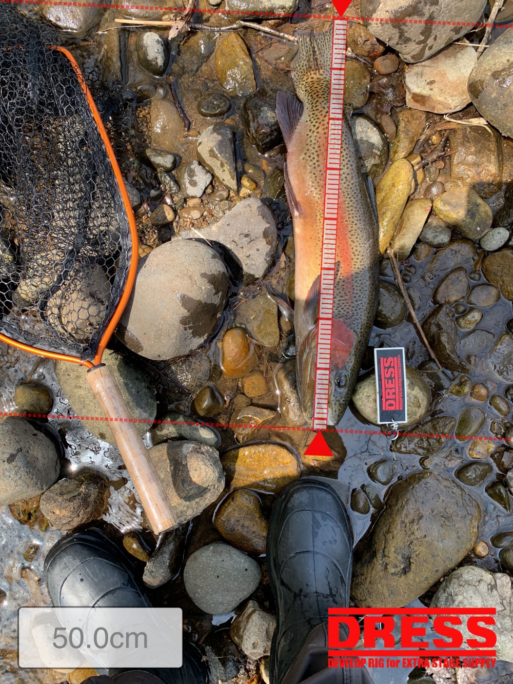 7004_0_ffed07961348959e620622aa8aa69128