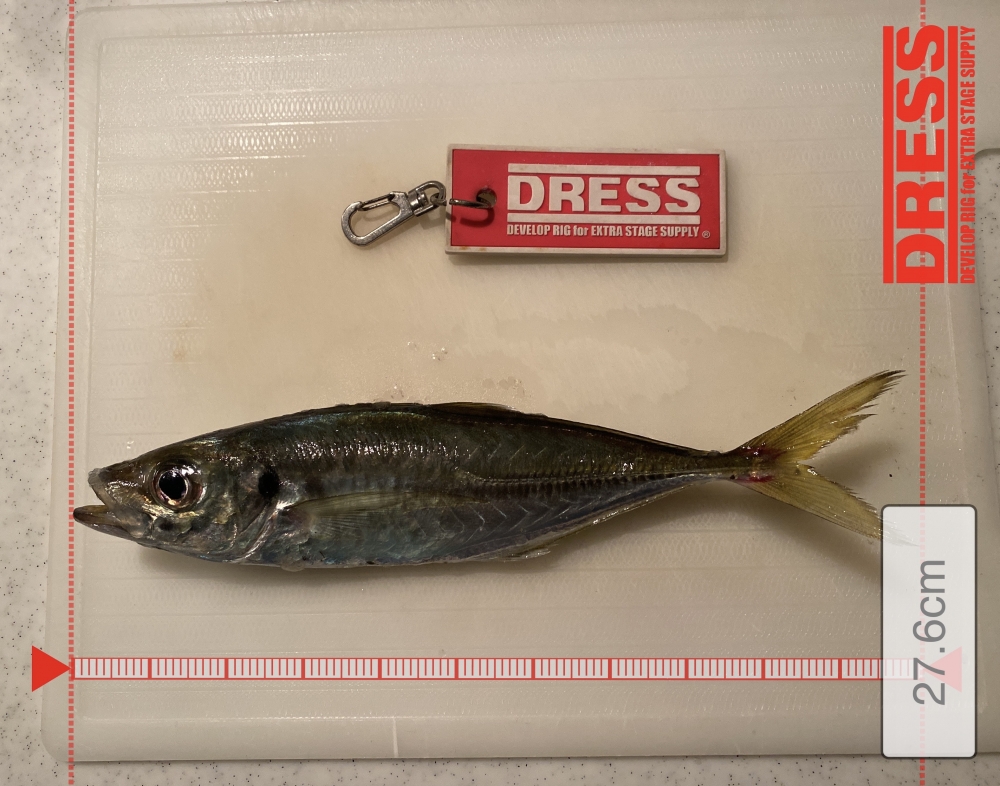 7104_0_f58d872c1dc7a4c1611282aceffd5556