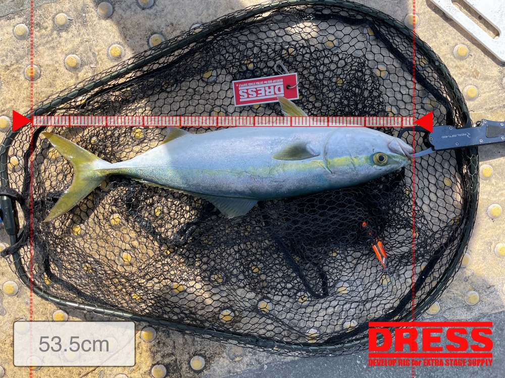 7228_0_2b3af2c2789680c10d6cf8ebd5df30ae