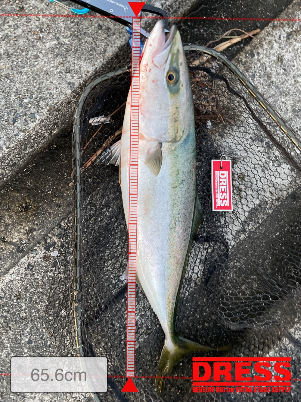 7228_0_b765931c084fc2c1851592173bbe4452