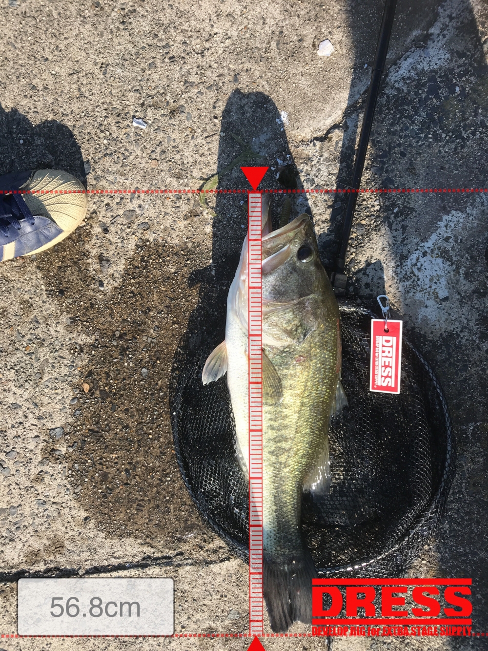 7228_0_e24d28a01b0679bc1064b4cb142699d0