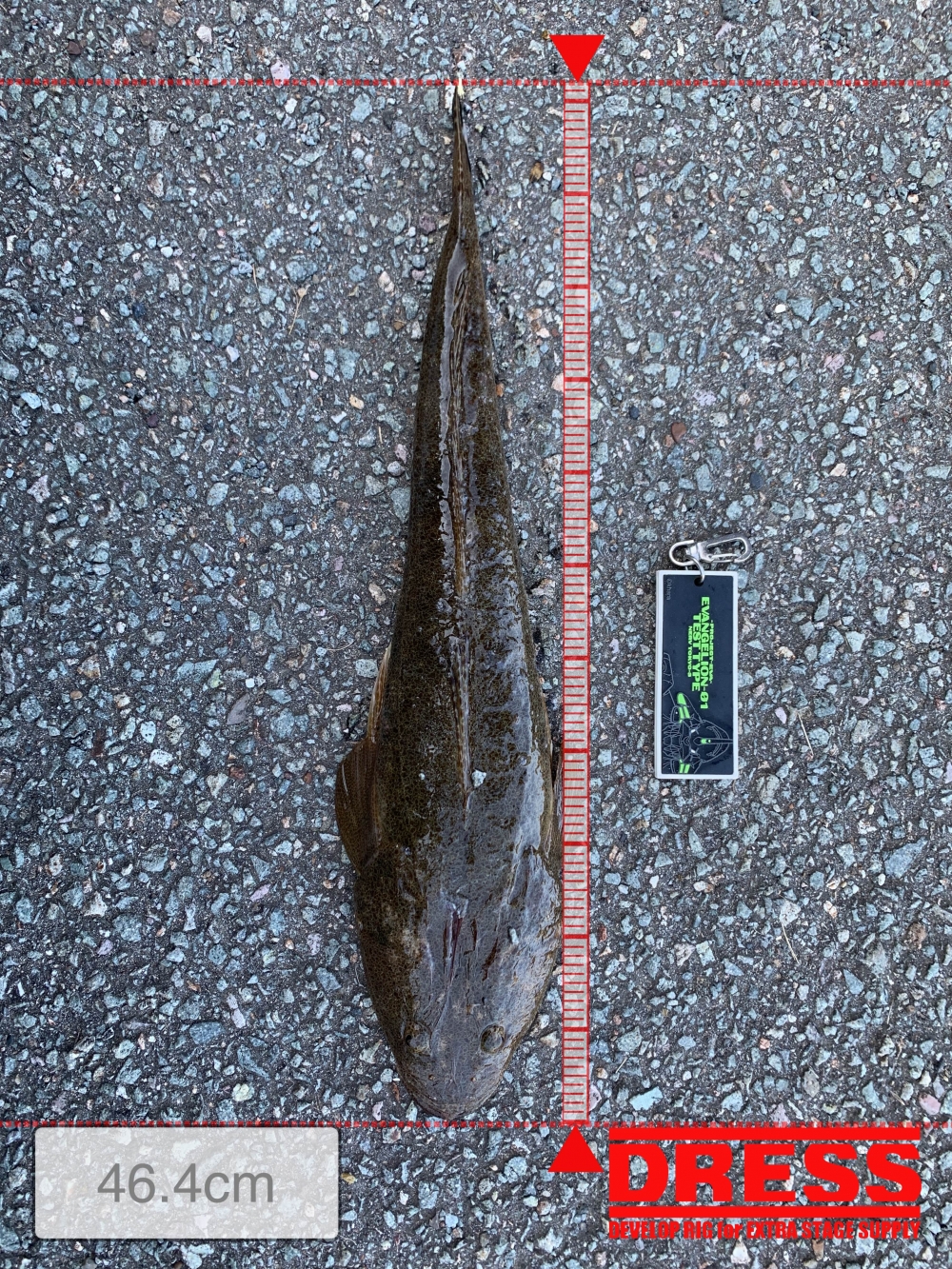 7303_0_1ed771e262f8426263d867f0415cdd94