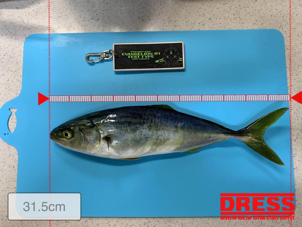 7303_0_39ade26921b8e5a7b67717a23fab743c