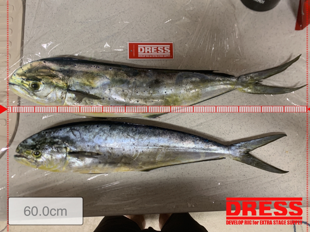 7303_0_52fadff062cbdbd7decd8eaf911bc066