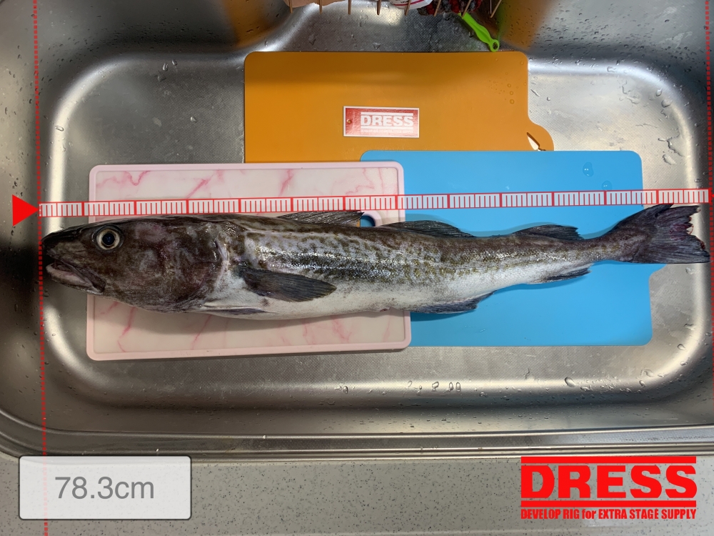 7303_0_658503e070c101c94d8d6896375cf37e